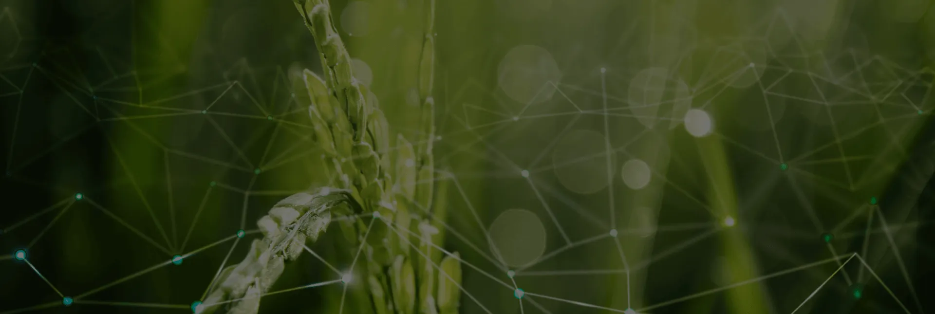 Directum Awards | Организация долговременного хранения кадровых документов из HRlink для ИТ-компании